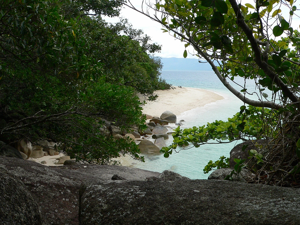 126 Fitzroy Island.jpg